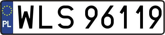 WLS96119