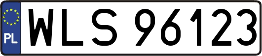 WLS96123