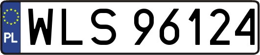 WLS96124