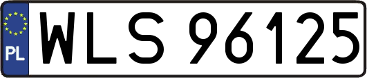WLS96125