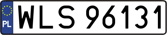 WLS96131