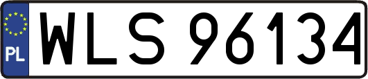 WLS96134
