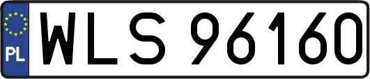 WLS96160
