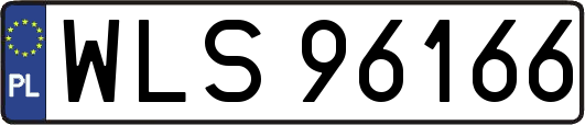 WLS96166
