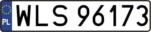 WLS96173