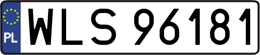 WLS96181