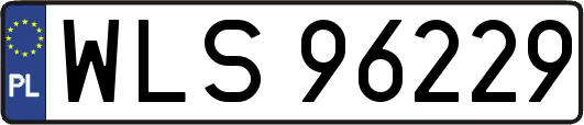 WLS96229