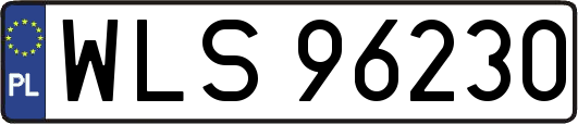 WLS96230