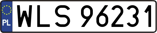 WLS96231