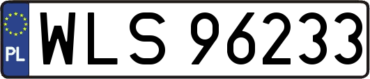 WLS96233