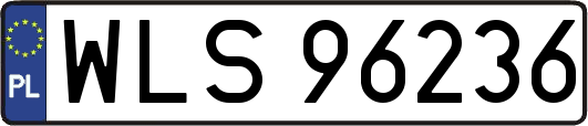 WLS96236