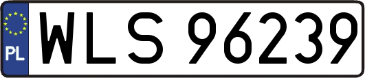 WLS96239