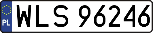 WLS96246