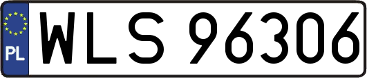 WLS96306