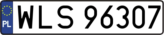 WLS96307