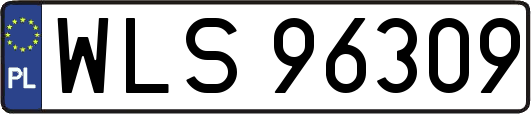 WLS96309