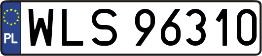WLS96310