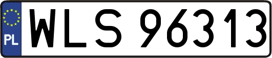 WLS96313