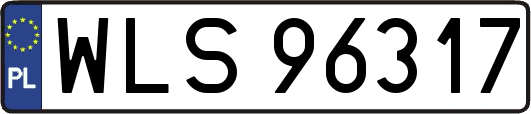 WLS96317