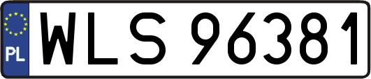 WLS96381