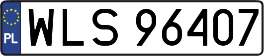 WLS96407