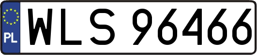 WLS96466