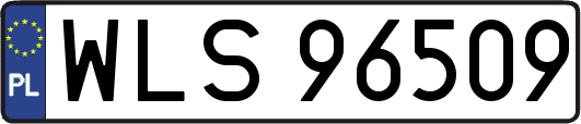 WLS96509