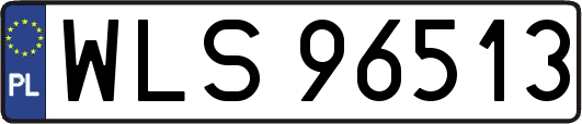 WLS96513