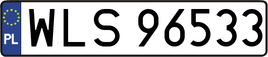 WLS96533