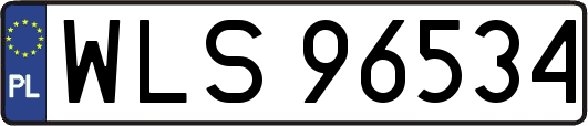 WLS96534