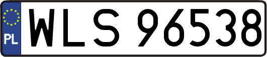 WLS96538