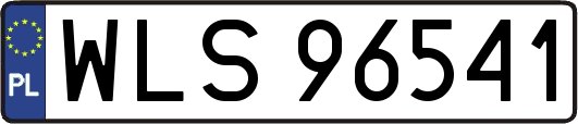 WLS96541