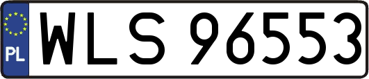 WLS96553