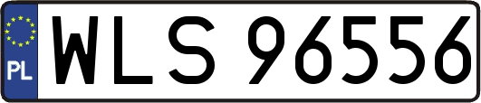 WLS96556