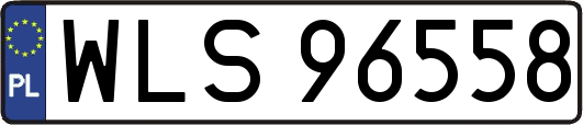 WLS96558