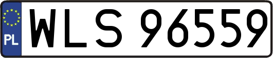 WLS96559