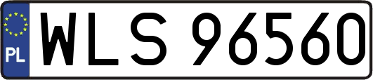 WLS96560