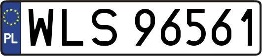 WLS96561
