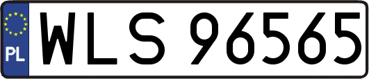 WLS96565