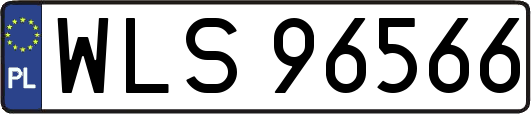 WLS96566