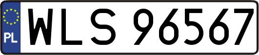 WLS96567