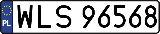WLS96568