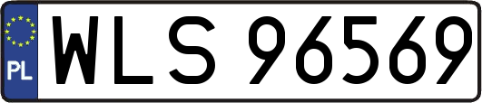 WLS96569