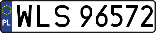 WLS96572