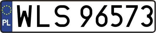 WLS96573