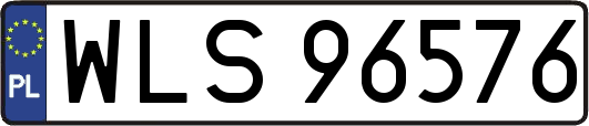WLS96576