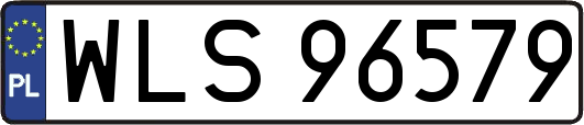 WLS96579