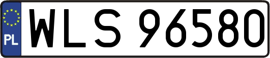 WLS96580