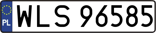 WLS96585