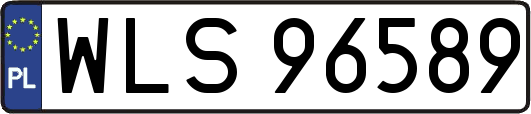 WLS96589